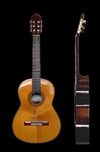 Classical Guitar Shape