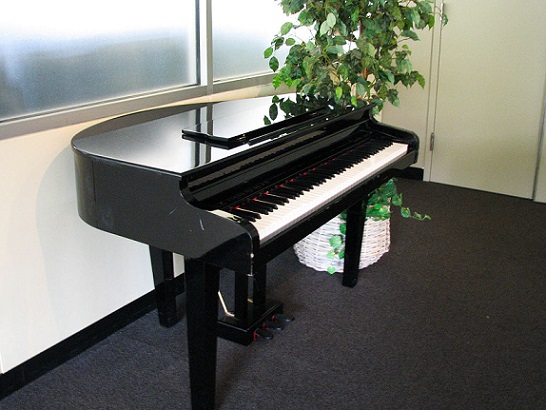 Digital-Baby-Grand-Piano Knowledge Base  Do you have the right Piano for you? Digital Piano