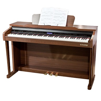 Digital-Upright-piano-s-1 Knowledge Base  Do you have the right Piano for you? Digital Piano