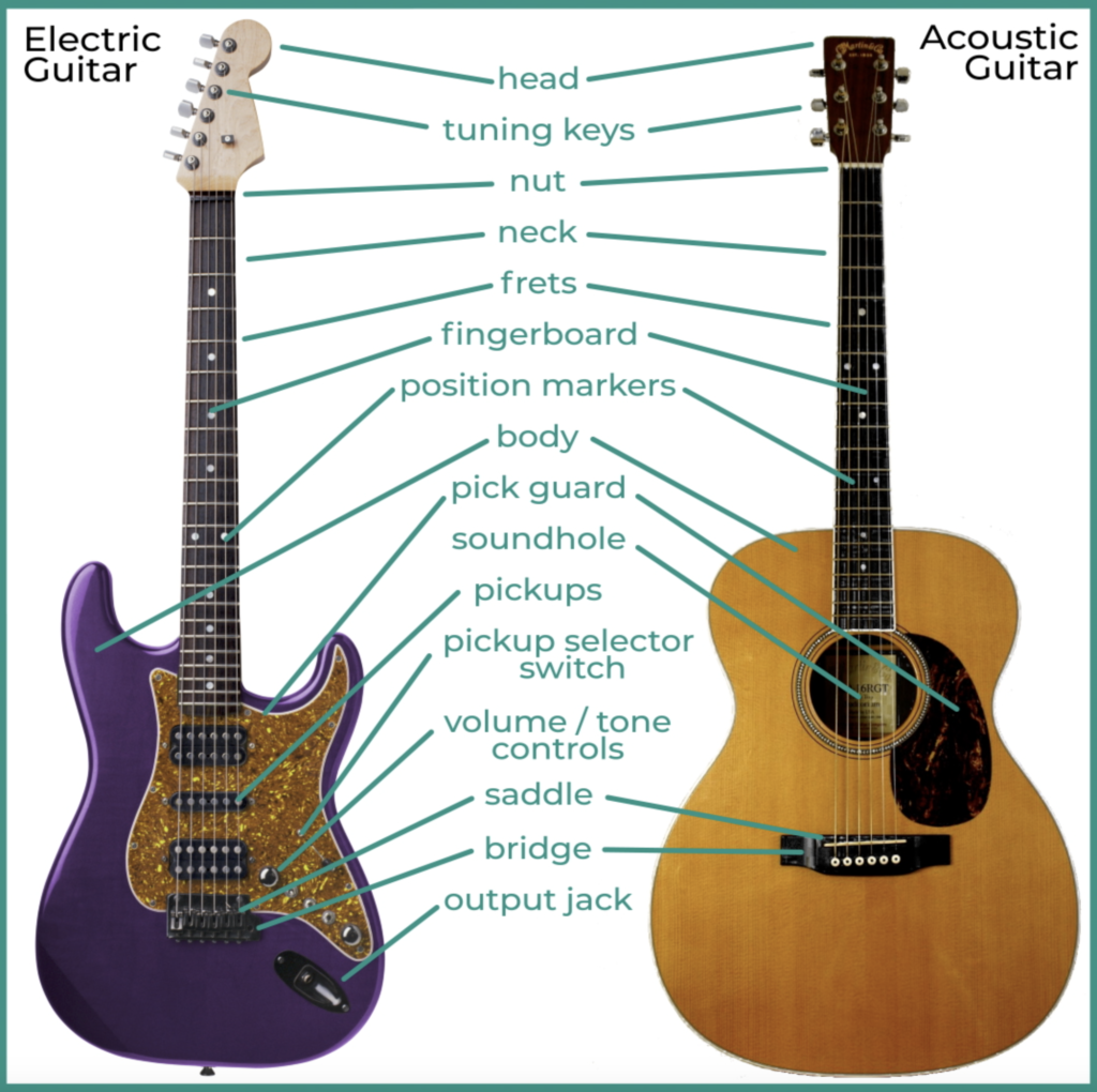 divorcio Profeta yeso Guitar Anatomy - Understanding the Different Parts of the Guitar