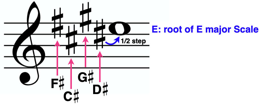 how to know E major key signature