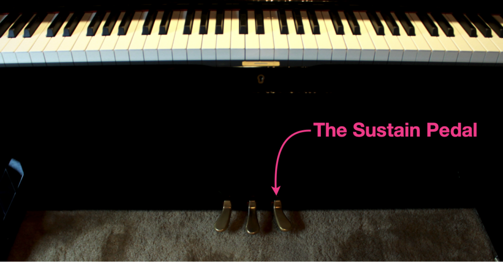 Piano Pedals, What Do Piano Pedals Do, Sustain Pedal