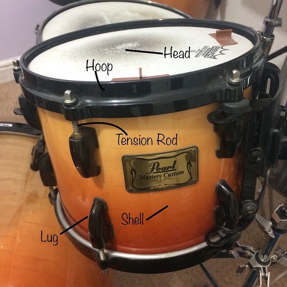 drum anatomy