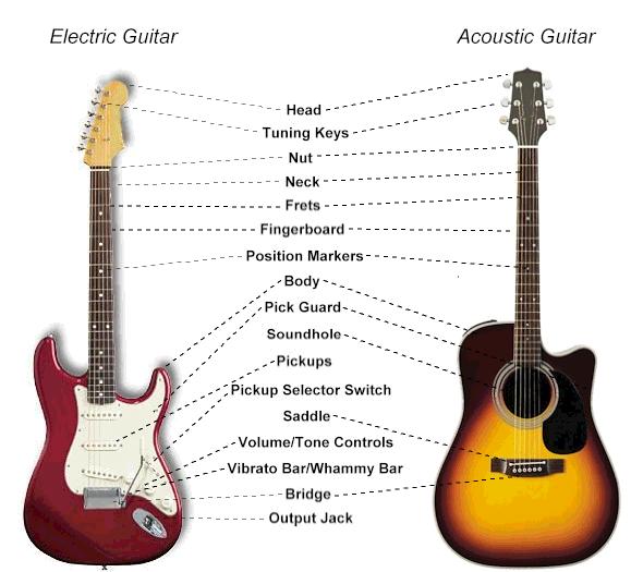 Different Parts of an Electric Guitar and Their Functions - Guitar