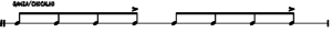 samba notation - ganza